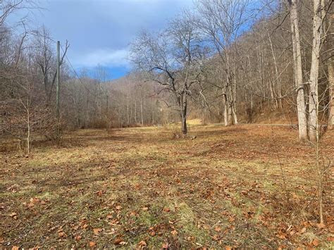 Renick Greenbrier County Wv Undeveloped Land For Sale Property Id