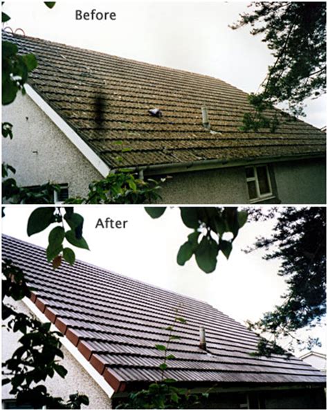 Roof Moss Removal Ayrshire at Keith Criswell blog