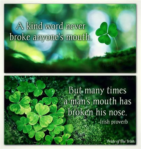 Pin by Pride of The Irish on Irish Blessings & Such. | Irish proverbs ...