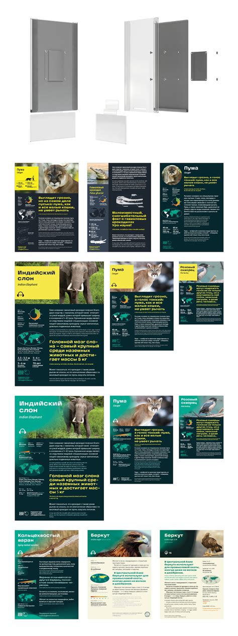 The making of the Moscow Zoo wayfinding