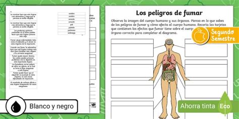 Gu A De Trabajo Efectos Del Cigarro En El Organismo