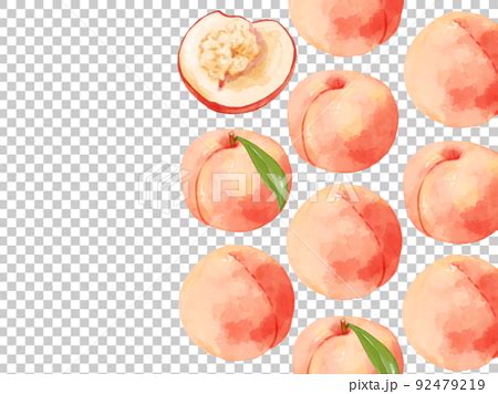 Hand Drawn Watercolor Peach Illustration Stock Illustration