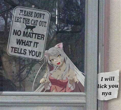 A Tempting Offer Cat Girl Know Your Meme