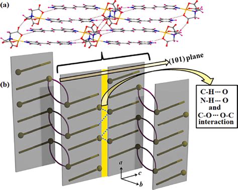 A Supramolecular 2d Sheet Of Nta Units Formed Through Hydrogen Download Scientific Diagram