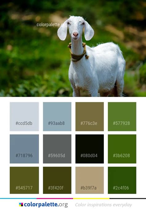 Goats Goat Fauna Color Palette | colorpalette.org