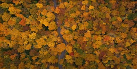 Watch 10MINS of (PEAK) Fall Foliage in Vermont's Green Mountain ...