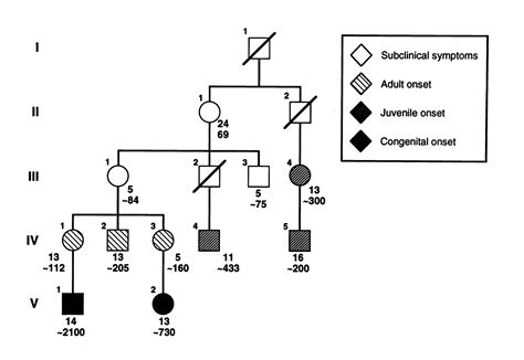 Unstable Triplet Repeat Diseases Circulation