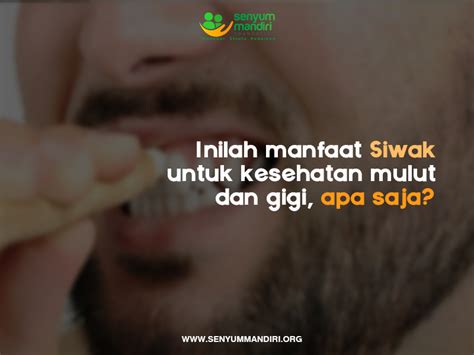 Inilah Manfaat Siwak Untuk Kesehatan Mulut Dan Gigi Apa Saja Senyum