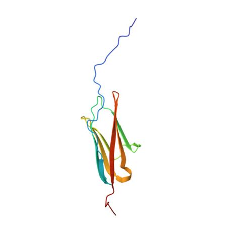 Rcsb Pdb Kkq Solution Nmr Structure Of The Ig Like C Type Domain