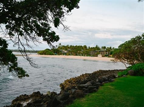 The Ultimate Guide To Turtle Bay Resort In Oahu - Luxury Vacation Inspiration & Reviews ...