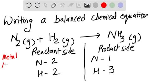 Solved Use The Balanced Equation Of A Nitrogen Cycle Pathway Below To Support The Conservation