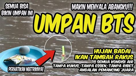 Makin Menyala Umpan Putih Tanpa Kukus Paling Jitu Mancing Ikan Mas