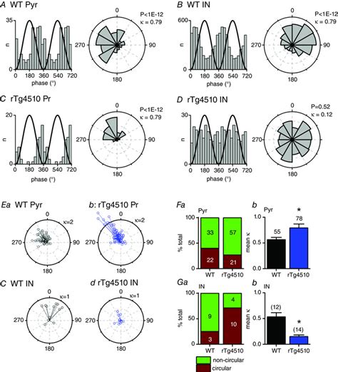 Altered Phase Locking Of Individual Rtg Neurons To Ripple