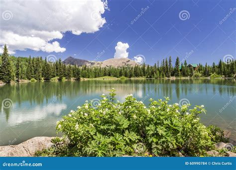 Dark Canyon Lake In Utah Stock Photo Image Of Landscape 60990784