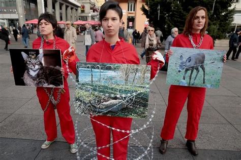 Performans u Zagrebu Prijatelji životinja u lancima uz žilet žicu i