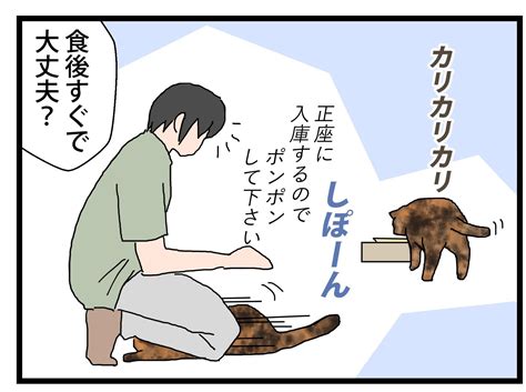 出庫マナー 保護猫かやさん～凛々しいサビ猫様と私～