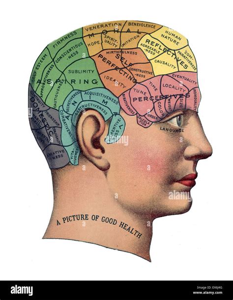 Phrenological chart de 1859 la phrénologie fut fondée au début du 19e