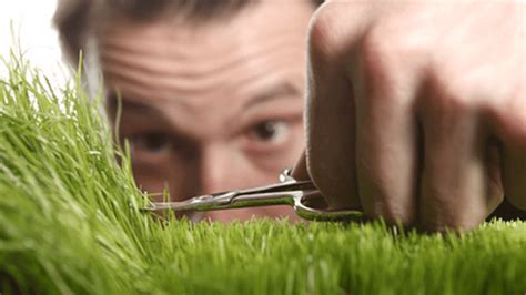 Ways To Cut Grass Without Lawn Mower Healthy Flat