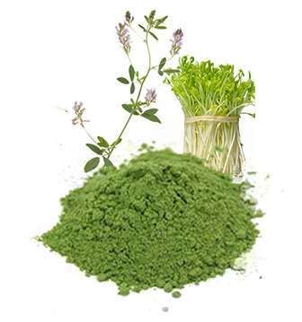 Organic Eu Alfalfa Leaf Powder Vitanics Bio