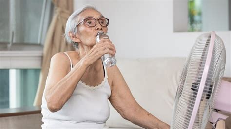 Se Requiere M S Prevenci N Ante Las Olas De Calor Y El Envejecimiento