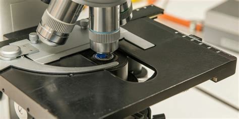 Comment Choisir Un Microscope Pour Tudiant Microbiology