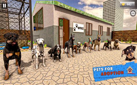 Tierheim Spiele Katzen Und Hunde Haustier Simulator Amazon De