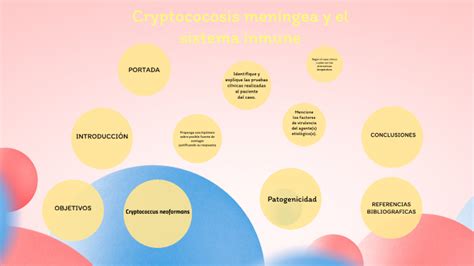 Cryptococosis Men Ngea Y El Sistema Inmune By Neida Luz Becerra