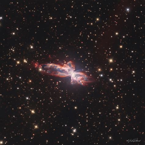 The Bug Nebula (NGC 6302) - Astrophotography by Nicolas ROLLAND