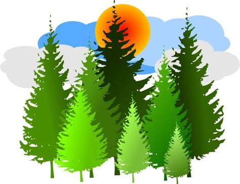 Free Pine Forest Clip Art Clip Art Online Art Art