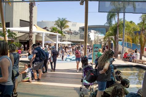 Long Beach Aquarium People, Crowd, Exhibit Editorial Stock Image - Image of fish, children ...