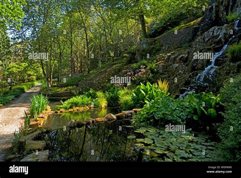 Small Water Garden Below The Waterfall Mount Congreve Gardens Near