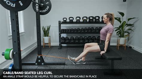 Cableband Seated Single Leg Curl Youtube