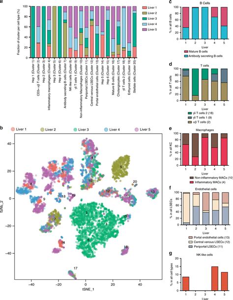 Contribution Of Cells To Each Scrna Seq Cluster By Sample And Download Scientific Diagram