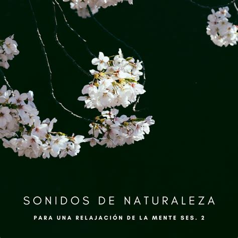 Sonidos De Naturaleza Para Una Relajación De La Mente Ses 2 Album By