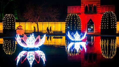 Coronakrise In Stuttgart Christmas Garden In Der Wilhelma Ist Abgesagt