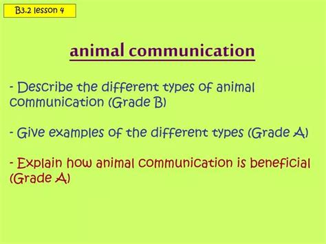 PPT - animal communication PowerPoint Presentation, free download - ID ...