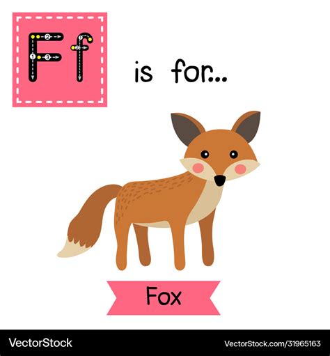 Letter F Is For Fox In Socks