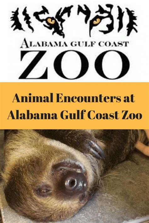 Alabama Gulf Coast Zoo | The Little Zoo That Could | Alabama