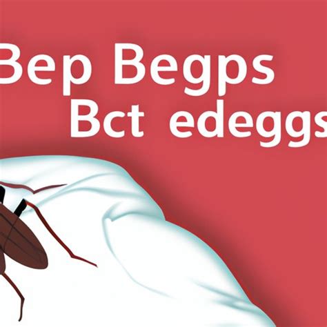 The Ultimate Guide to Identifying Bed Bug Symptoms – What You Need to ...