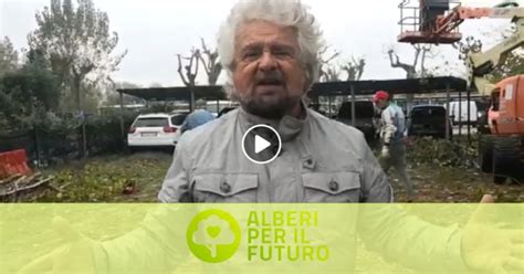 Alberi Per Il Futuro 2018 Il Blog Di Beppe Grillo