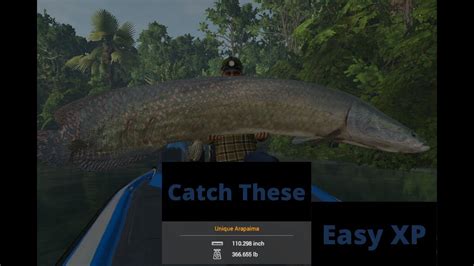 Fishing Planet How To Catch Arapaima Amazonian Maze Youtube