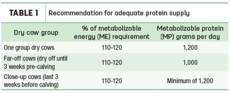 The Power Of Protein For Dry Cows Progressive Dairy Ag Proud