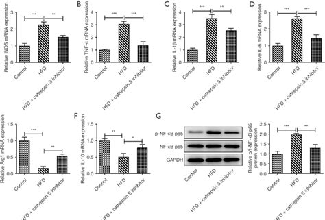 The Ctss Inhibitor Improved The Inflammatory Cytokines Release Of