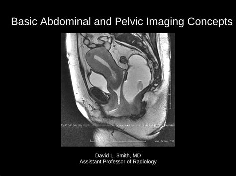 Pdf Basic Abdominal And Pelvic Imaging Concepts Abdominal · Basic Abdominal And Pelvic