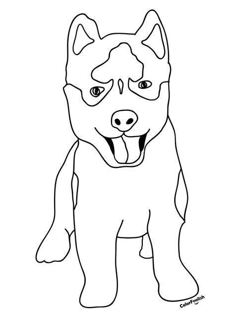 Husky Puppy Coloring Pages Printable