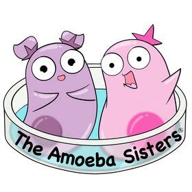 The Amoeba Sisters (amoebasisters) - Profile | Pinterest