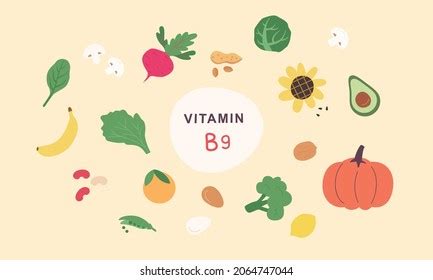 Vitamin B Complex Food Sources Health Stock Vector Royalty Free