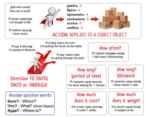 Accusative Case Use And Formation Language Step By Step