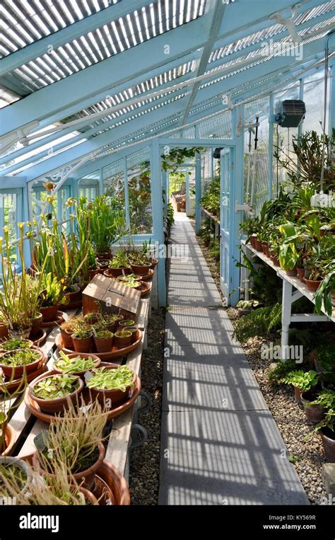 Greenhouse At Down House Former Home Of Charles Darwin Downe Kent