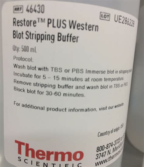 Stripping Buffer Recipe Western Blot | Bryont Blog